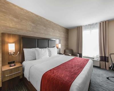 کمفرت این اند سویتز کالگاری آیرپرت نرد