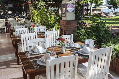 کلوب توانا فدیی