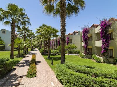 کلوب توانا فدیی