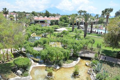 کلوب توانا فدیی