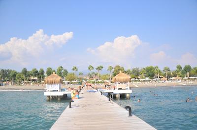 کلوب توانا فدیی