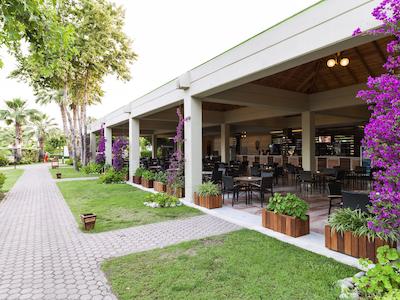 کلوب توانا فدیی