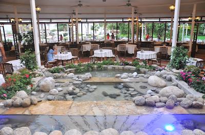 کلوب توانا فدیی