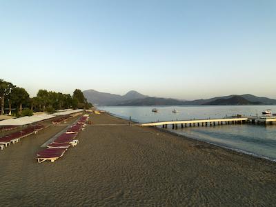 کلوب توانا فدیی