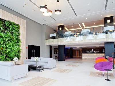 گولدن تولیپ اسو جس دز کمپز