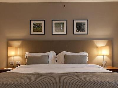 گولدن تولیپ اسو جس دز کمپز