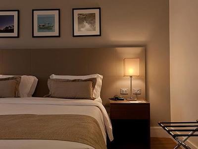 گولدن تولیپ اسو جس دز کمپز