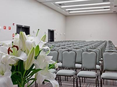 گولدن تولیپ اسو جس دز کمپز