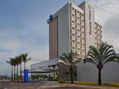 گولدن تولیپ اسو جس دز کمپز