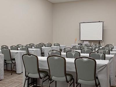 گولدن تولیپ اسو جس دز کمپز