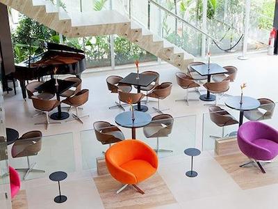 گولدن تولیپ اسو جس دز کمپز