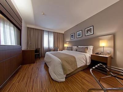 گولدن تولیپ اسو جس دز کمپز