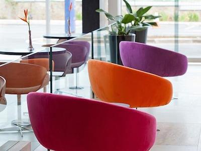 گولدن تولیپ اسو جس دز کمپز