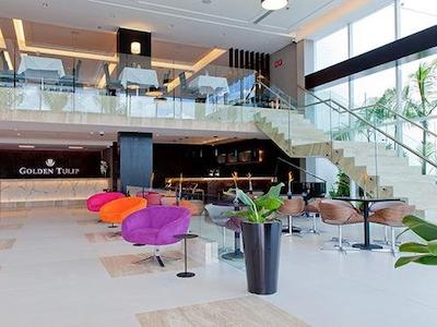 گولدن تولیپ اسو جس دز کمپز