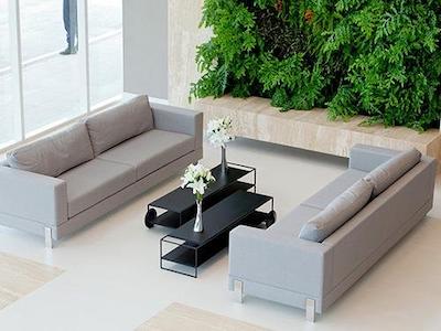 گولدن تولیپ اسو جس دز کمپز