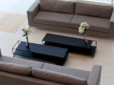 گولدن تولیپ اسو جس دز کمپز