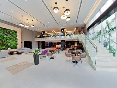 گولدن تولیپ اسو جس دز کمپز