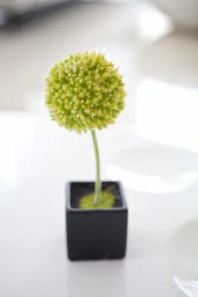 ویز هتل سیکینی