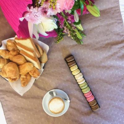 تولیپ بوتیک هتل