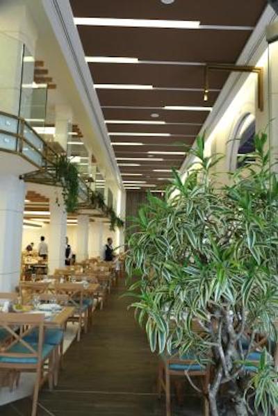 تولیپ بوتیک هتل