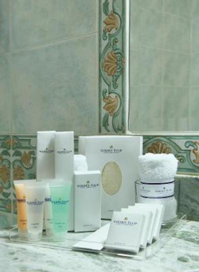 تولیپ بوتیک هتل