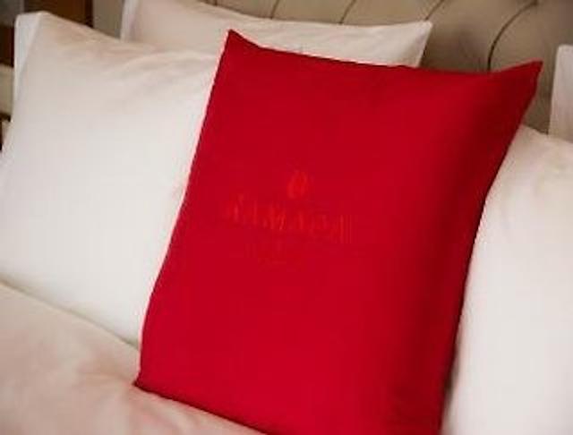 هتل رامادا پلازا ورنزه سیتی سنتر