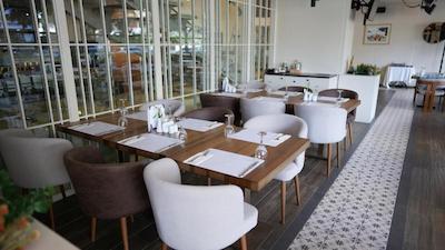 ددمان استانبول