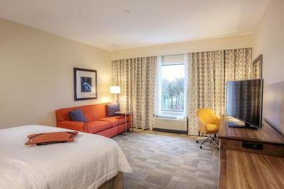 هامپتون این اند سویتز دالاز/پلانو-ایست