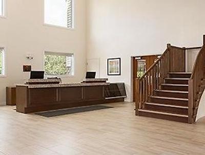 دز این سیوکس لوکوت