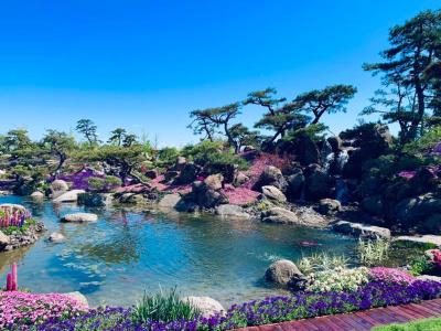 یانچی هتل منیجد بای کمپینسکی