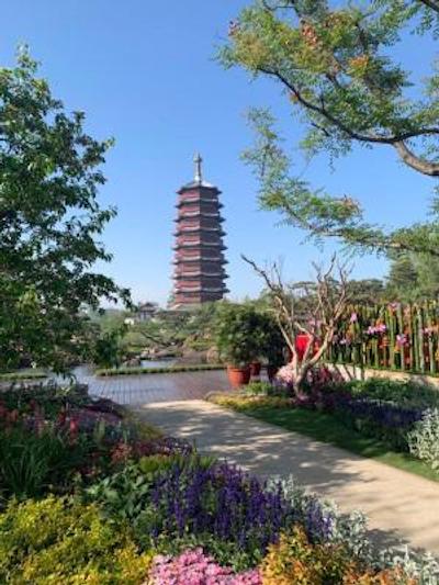 یانچی هتل منیجد بای کمپینسکی