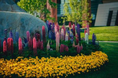 یانچی هتل منیجد بای کمپینسکی