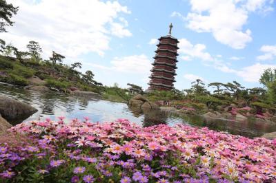 یانچی هتل منیجد بای کمپینسکی