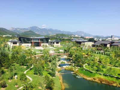 یانچی هتل منیجد بای کمپینسکی