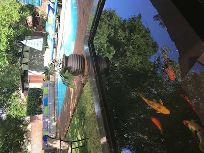 اکلوکس بوتیک هتل اند اسپا