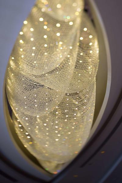 هیلتون زهوشان