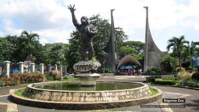 پملتل پاترا کونینگان