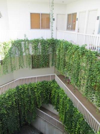 لگرین سویت پنجرنیهان