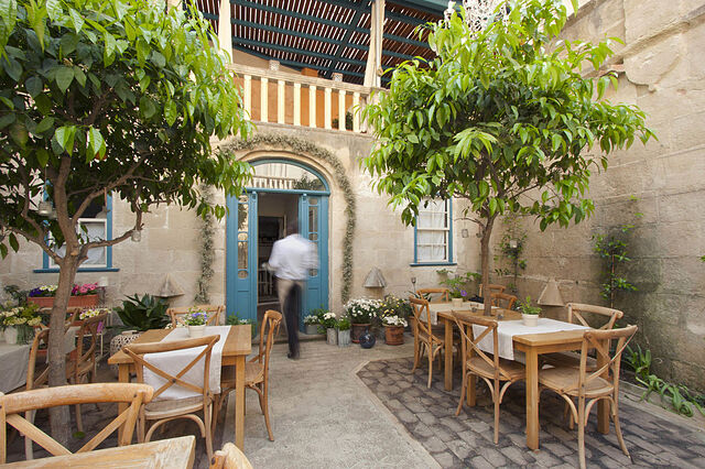 جارد د سز برویکسز