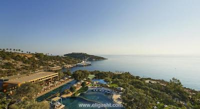 ماندارین اورینتال کوالالامپور