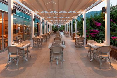 الیت ورلد مارماریز