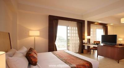 فلامینگو بای د لیک