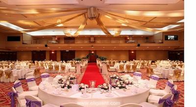 فلامینگو بای د لیک