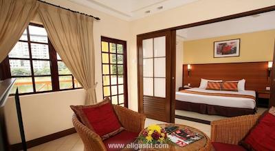 فلامینگو بای د لیک