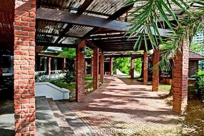 فلامینگو بای د لیک