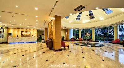 فلامینگو بای د لیک