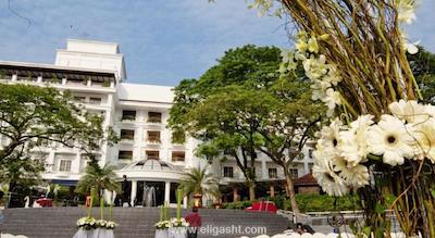 فلامینگو بای د لیک