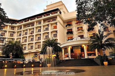 فلامینگو بای د لیک