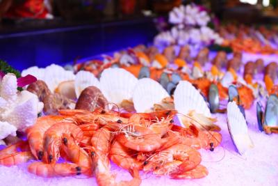 شنزهن اوانت-گارد هتل