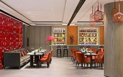 نیکسلو چنگدو